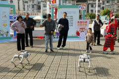 <b>”狗是人类最早驯化的</b>